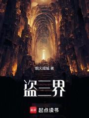 盗三界无错字版